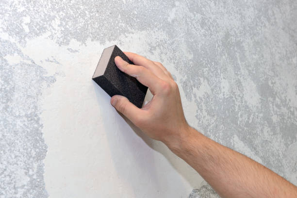 Best Biohazard Mold Removal  in Watertown, NY