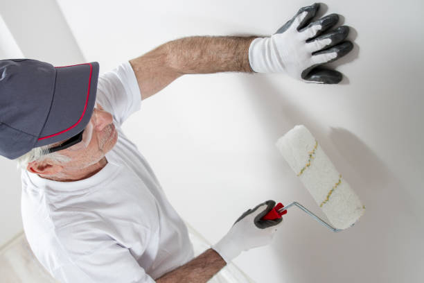 Best HVAC Mold Inspection and Cleaning  in Watertown, NY