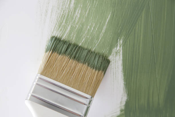 Best Commercial Mold Inspection  in Watertown, NY