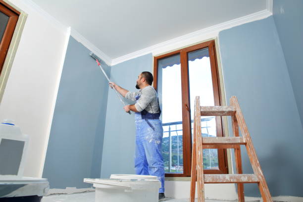 Best Black Mold Removal  in Watertown, NY