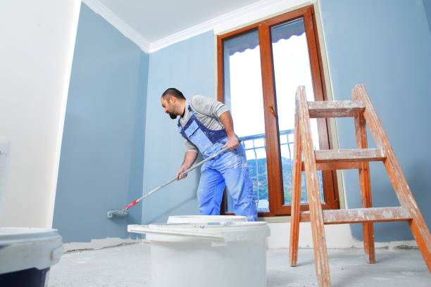 Best Dehumidification Services  in Watertown, NY