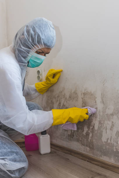 Best Post-Remediation Verification Testing  in Watertown, NY