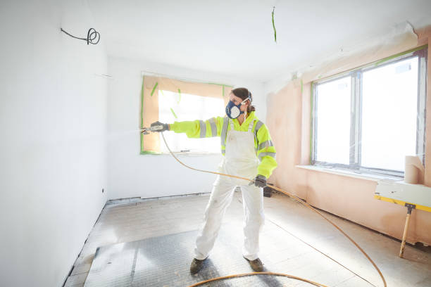 Reliable Watertown, NY Mold Removal Solutions