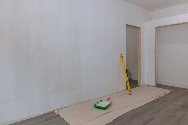 Best Asbestos and Lead Testing During Mold Inspection  in Watertown, NY