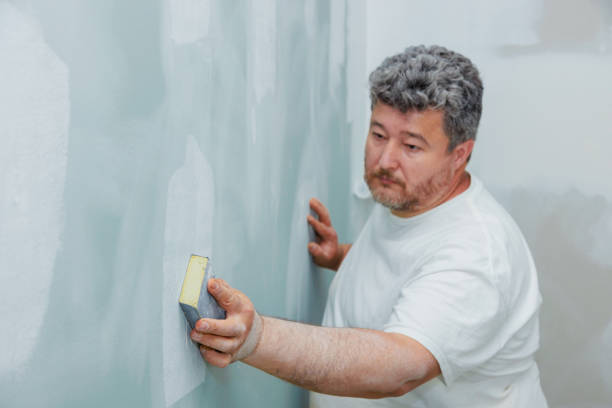 Best Mold-Related Health Consultation  in Watertown, NY