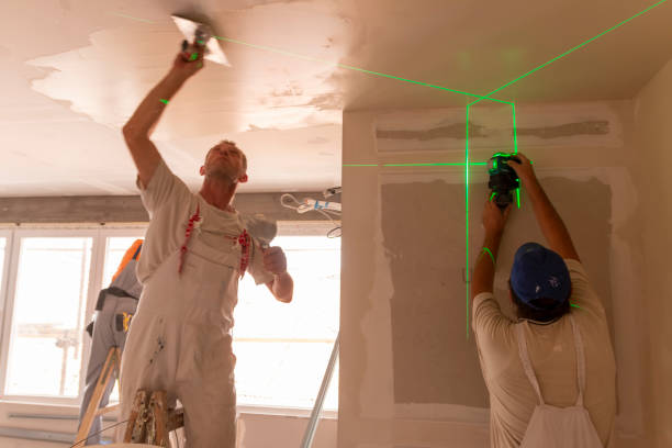Best Emergency Mold Remediation  in Watertown, NY